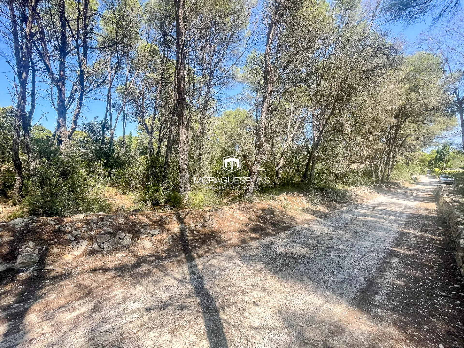 Image 18 of 25