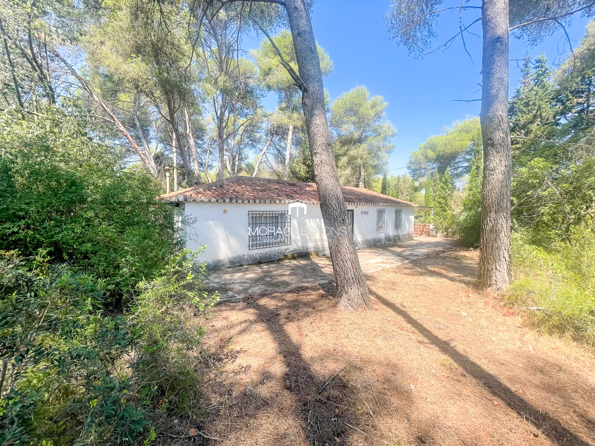 Image 20 of 25