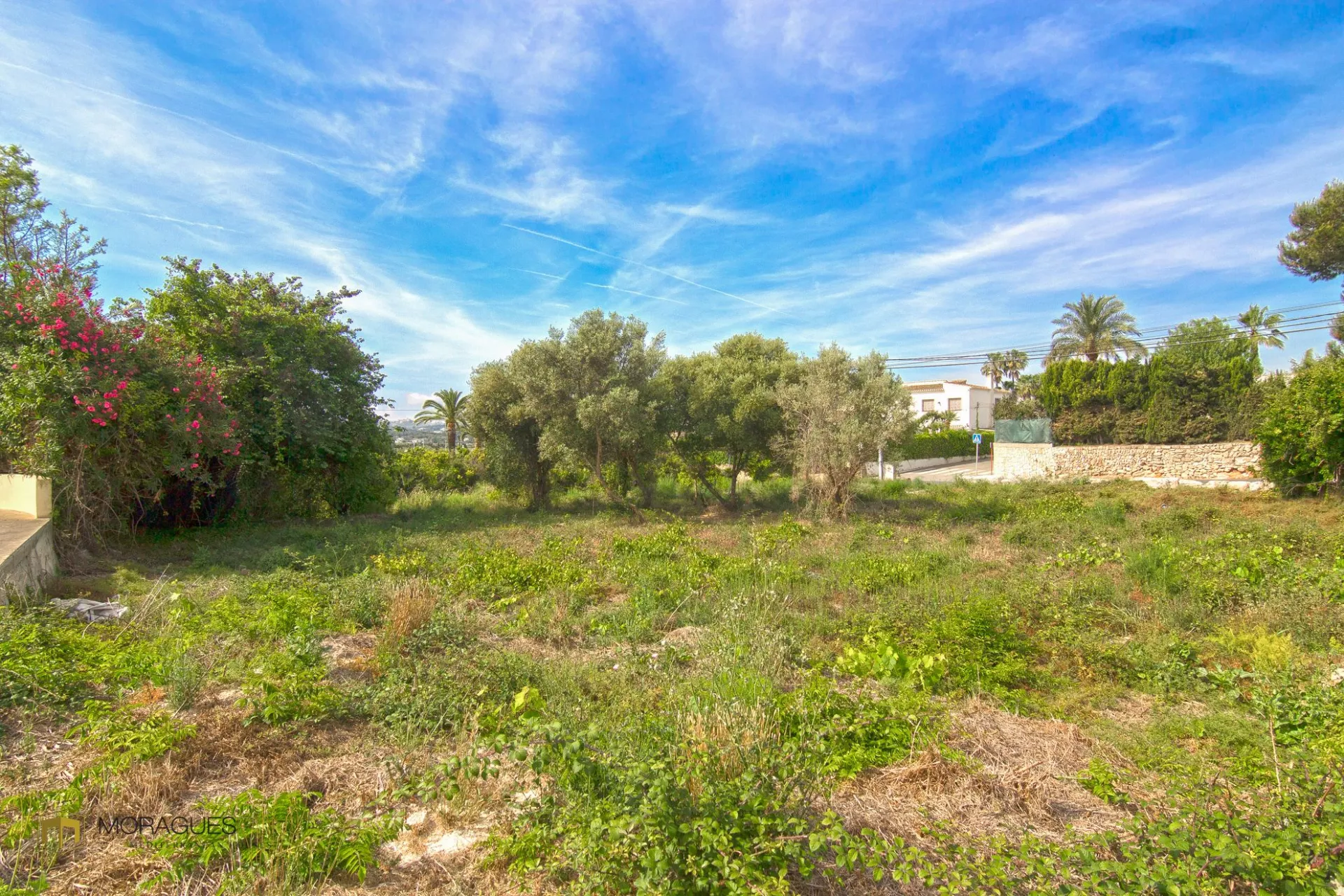 Terrain à vendre à proximité du village - 4/4