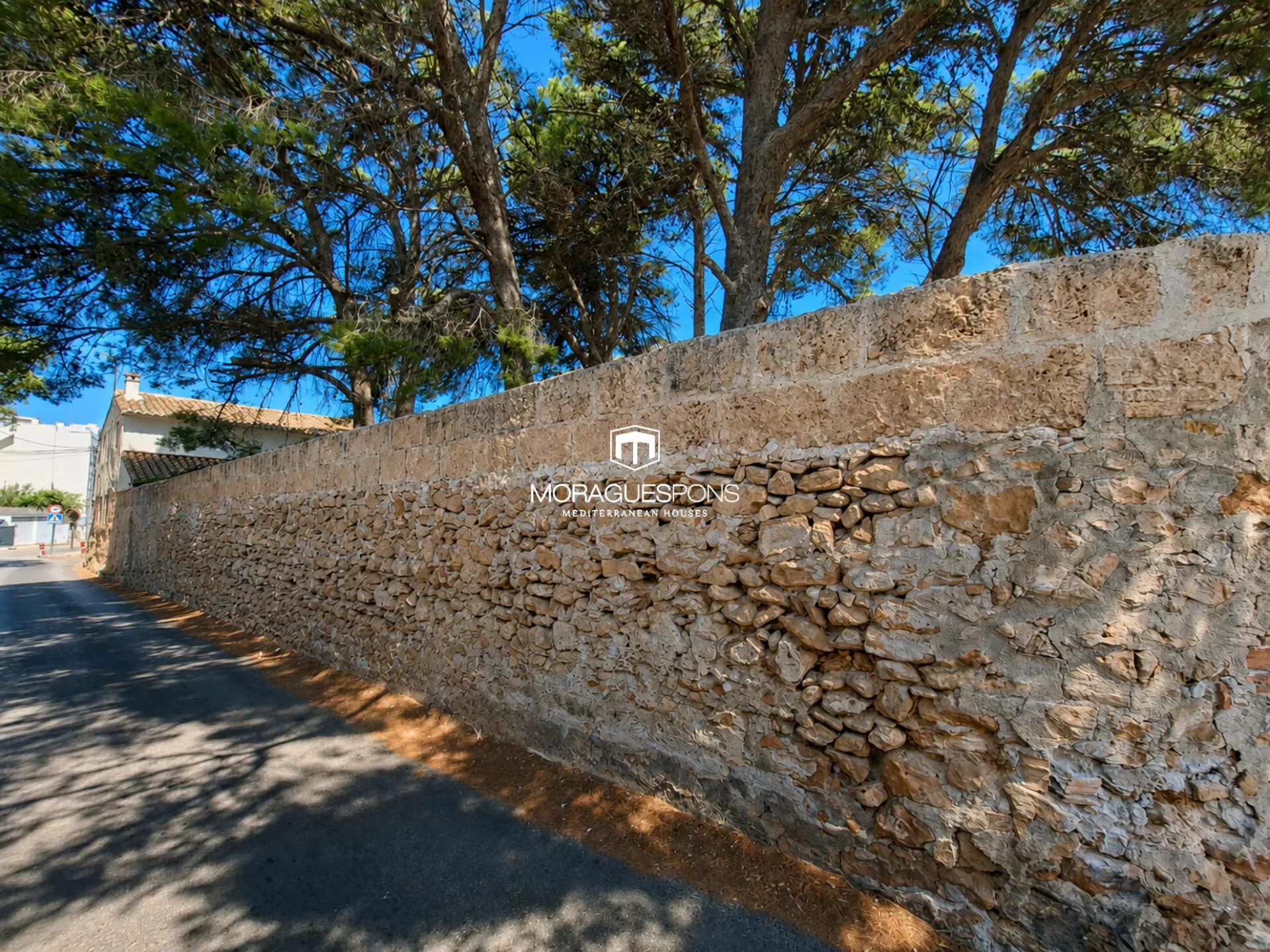Image 7 of 43