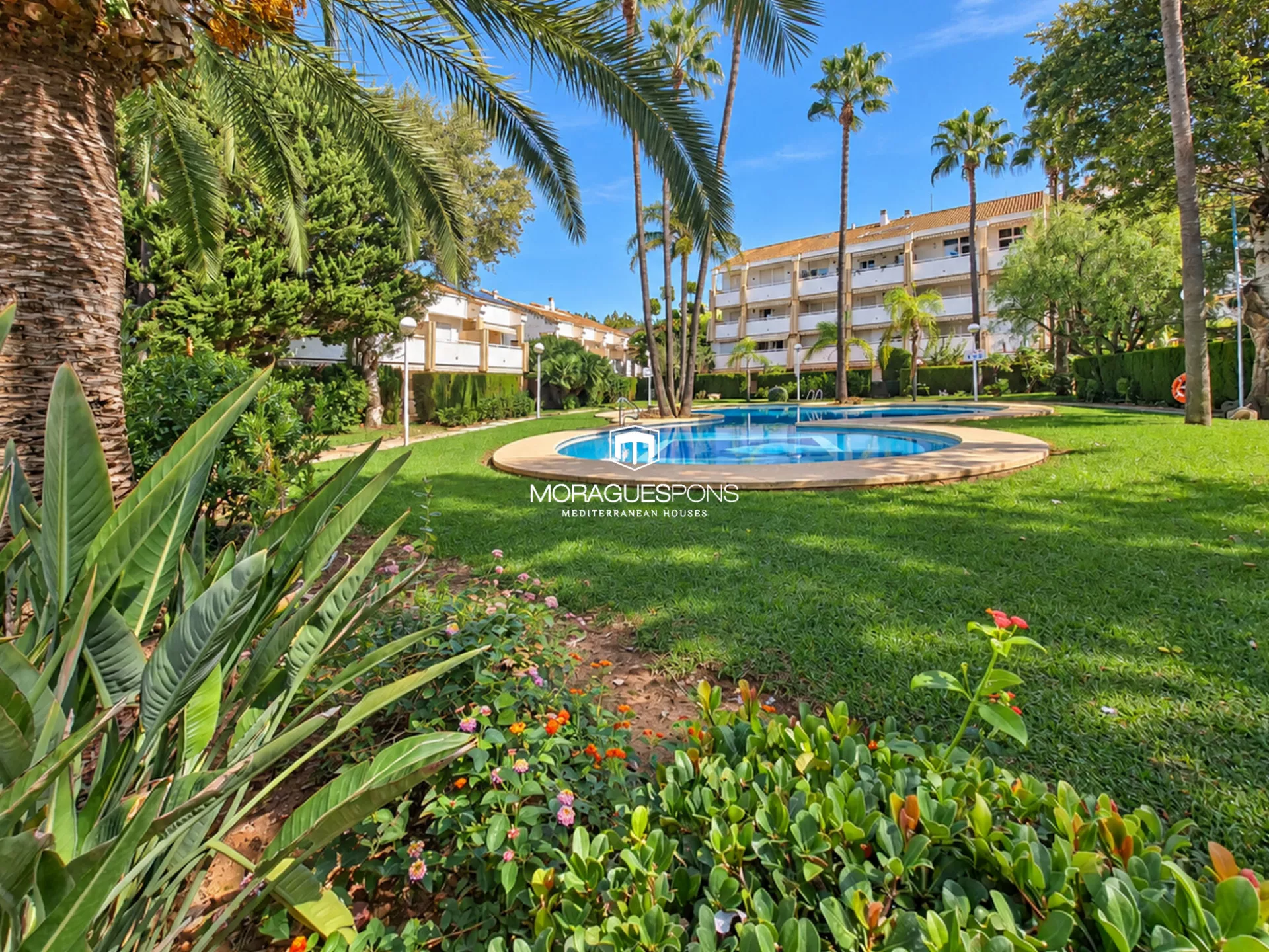 Bajar al mar. Subir a la piscina - 5/47