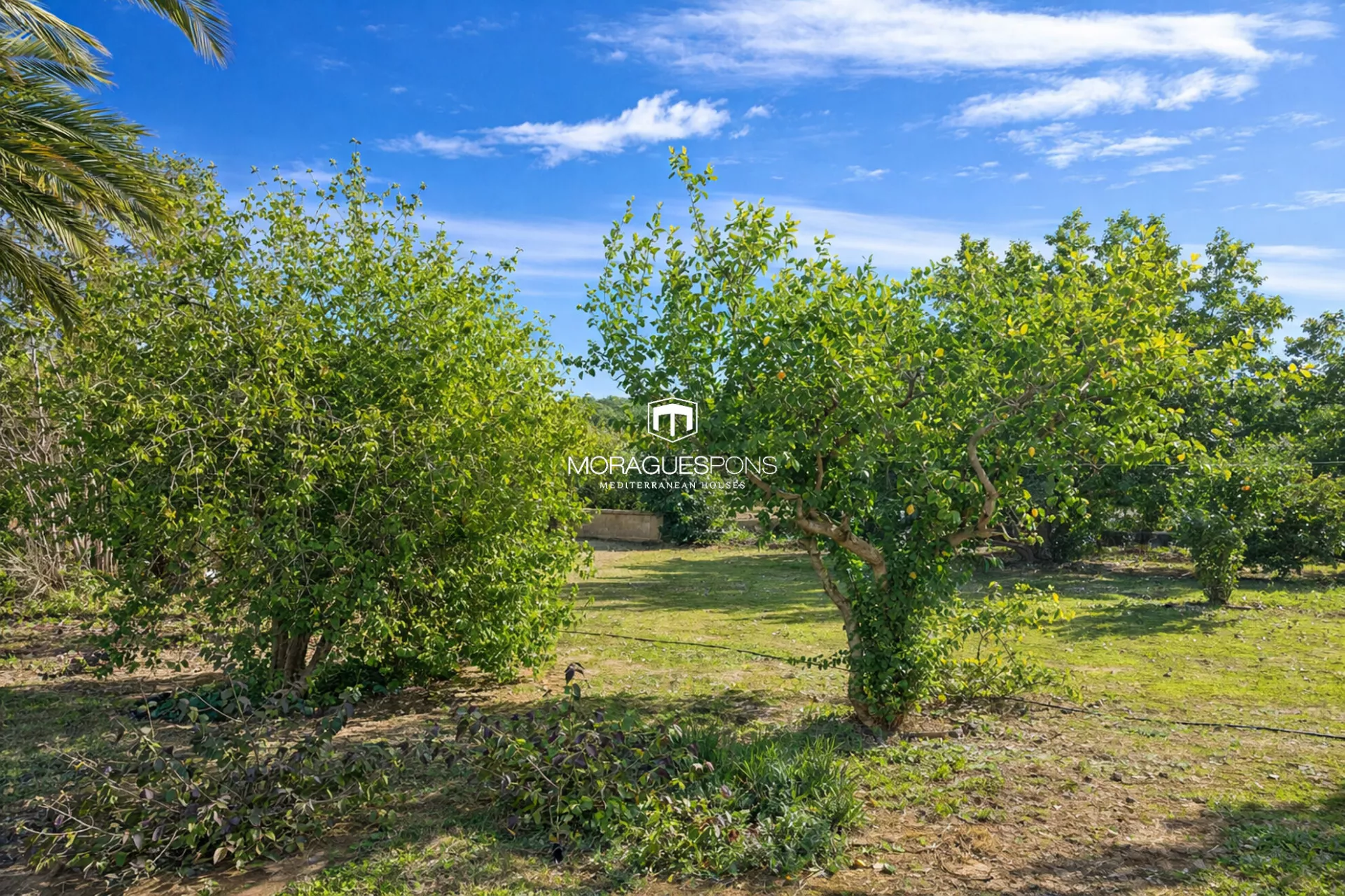 Land package in the Rafalet Urbanisation – Jávea - 4/4