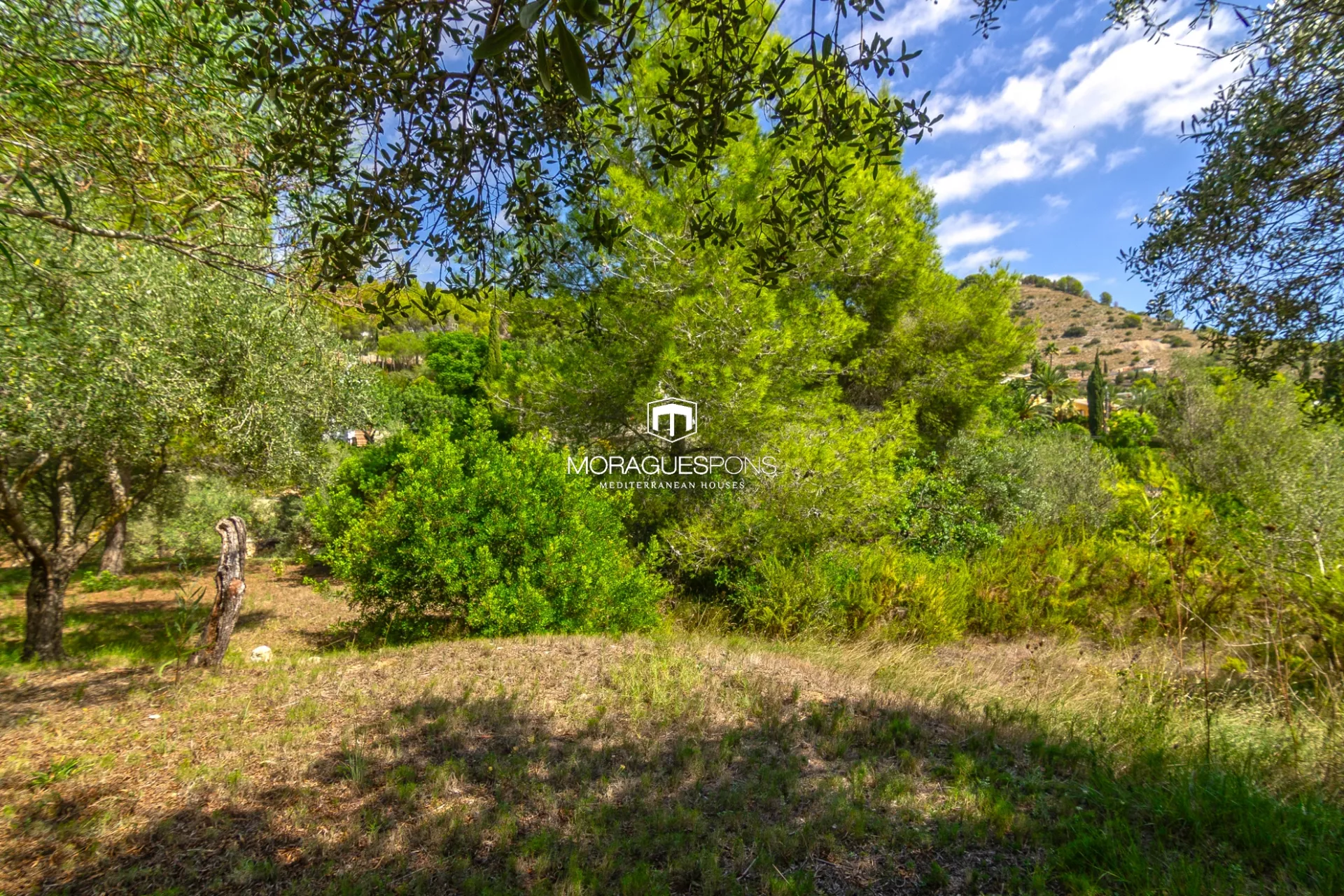 Plot for sale with project and license included - 2/25