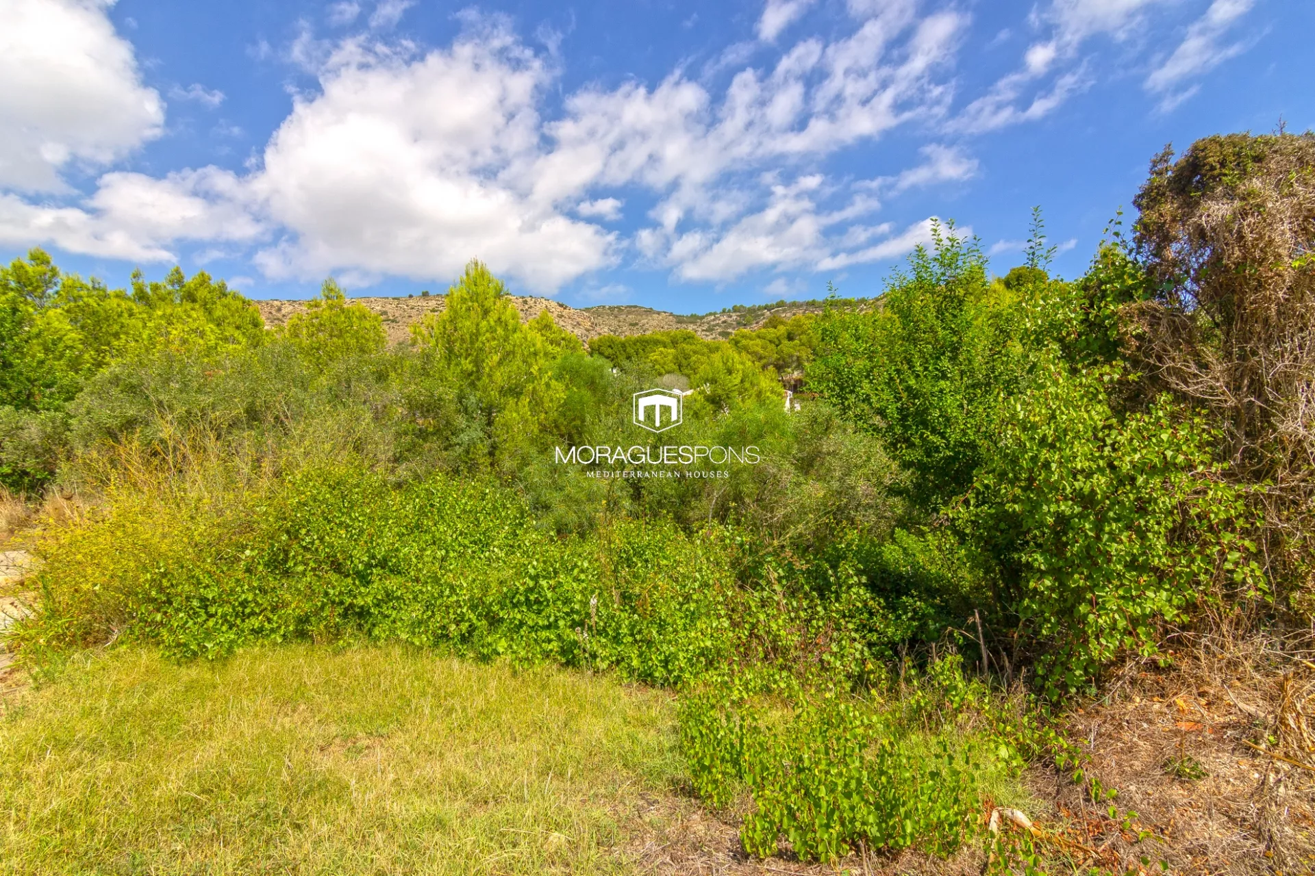 Plot for sale with project and license included - 3/25